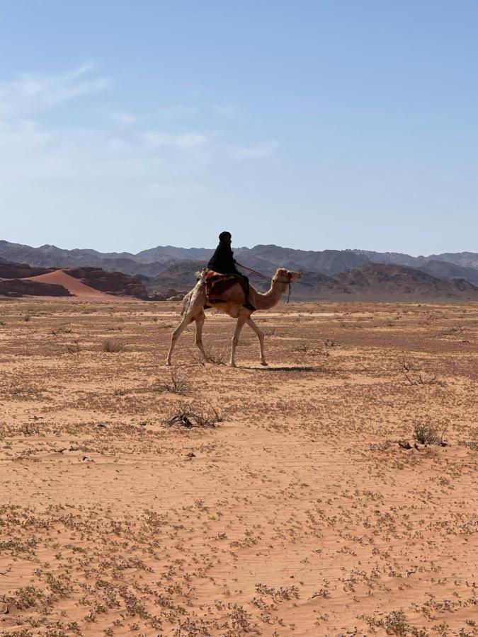 Wadi Rum Desert Camp Buitenkant foto