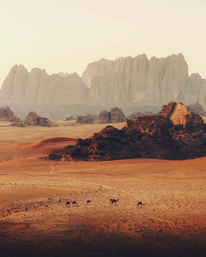 Wadi Rum Desert Camp Buitenkant foto